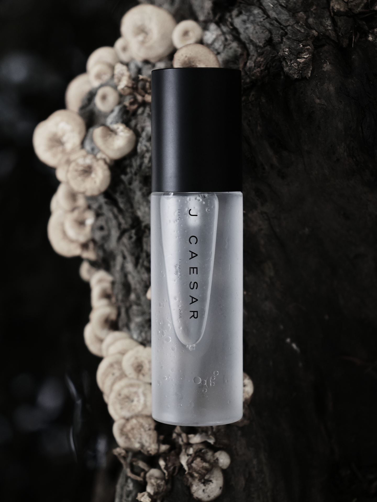 JCAEASAR Fragrance mist / perfume spray