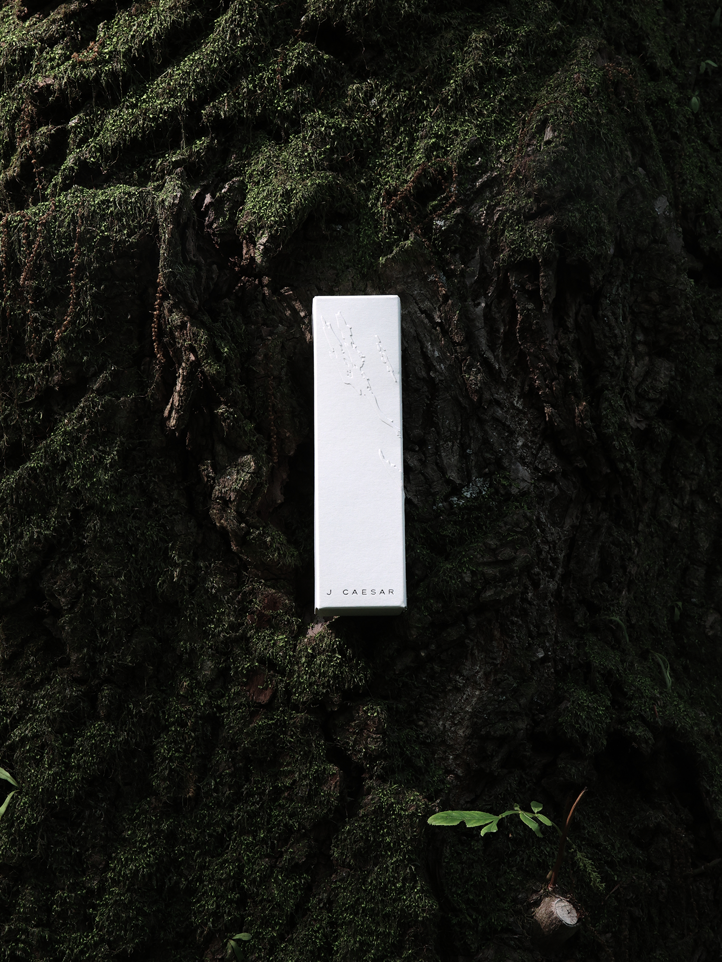 JCAEASAR Fragrance mist / perfume spray